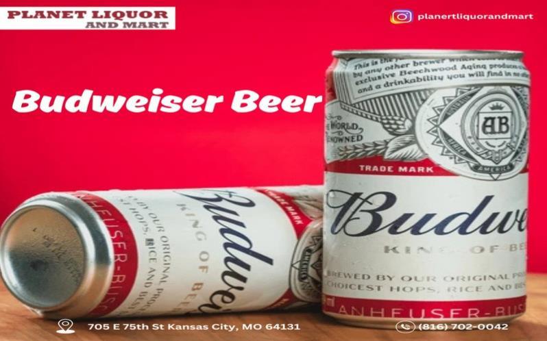 Budweiser Beer